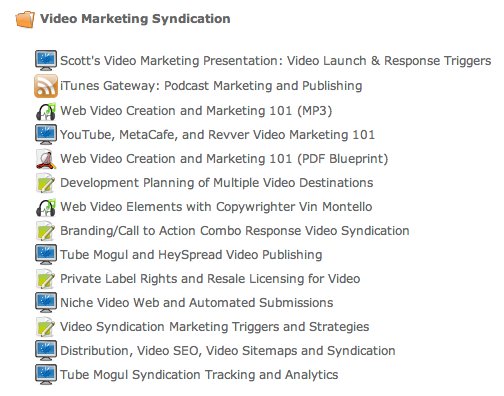Video marketing syndicate